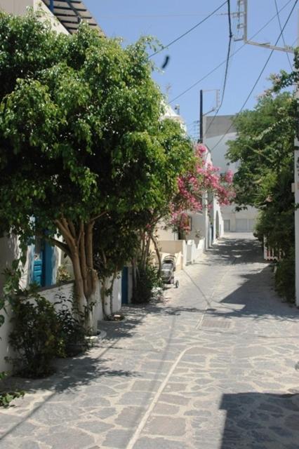 Hotel Anixis Resort Naxos City Zewnętrze zdjęcie